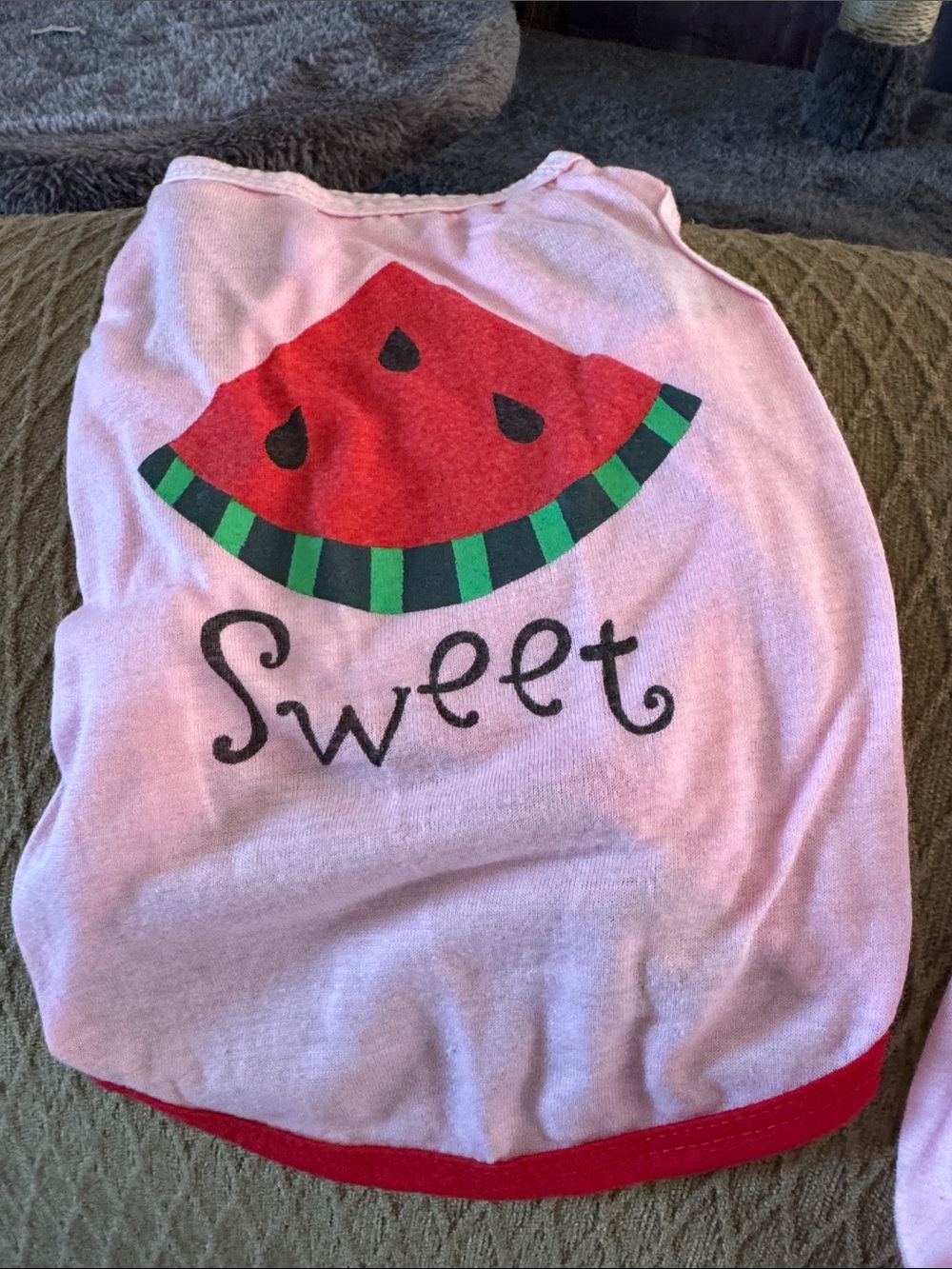 Dogs Pink 'Sweet' Watermelon Pajama Top